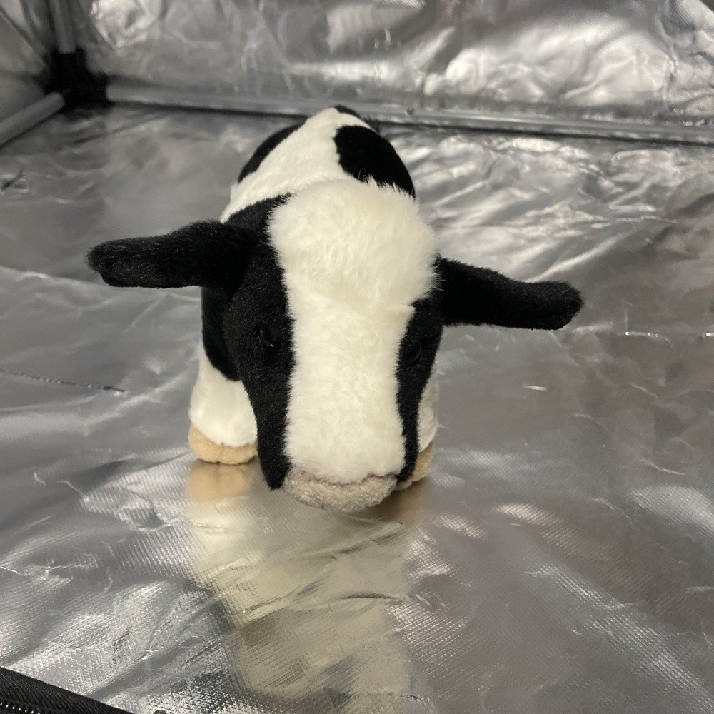 Miyoni Plush Toy Animal Holstein Calf 10" Cow